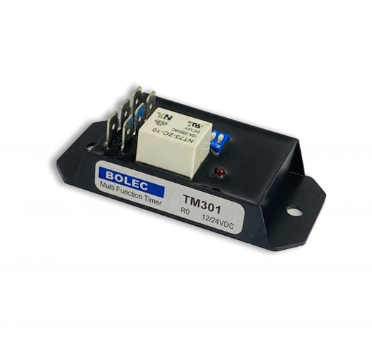 Multi Function Timer 12/24VDC [TM301 410 063]