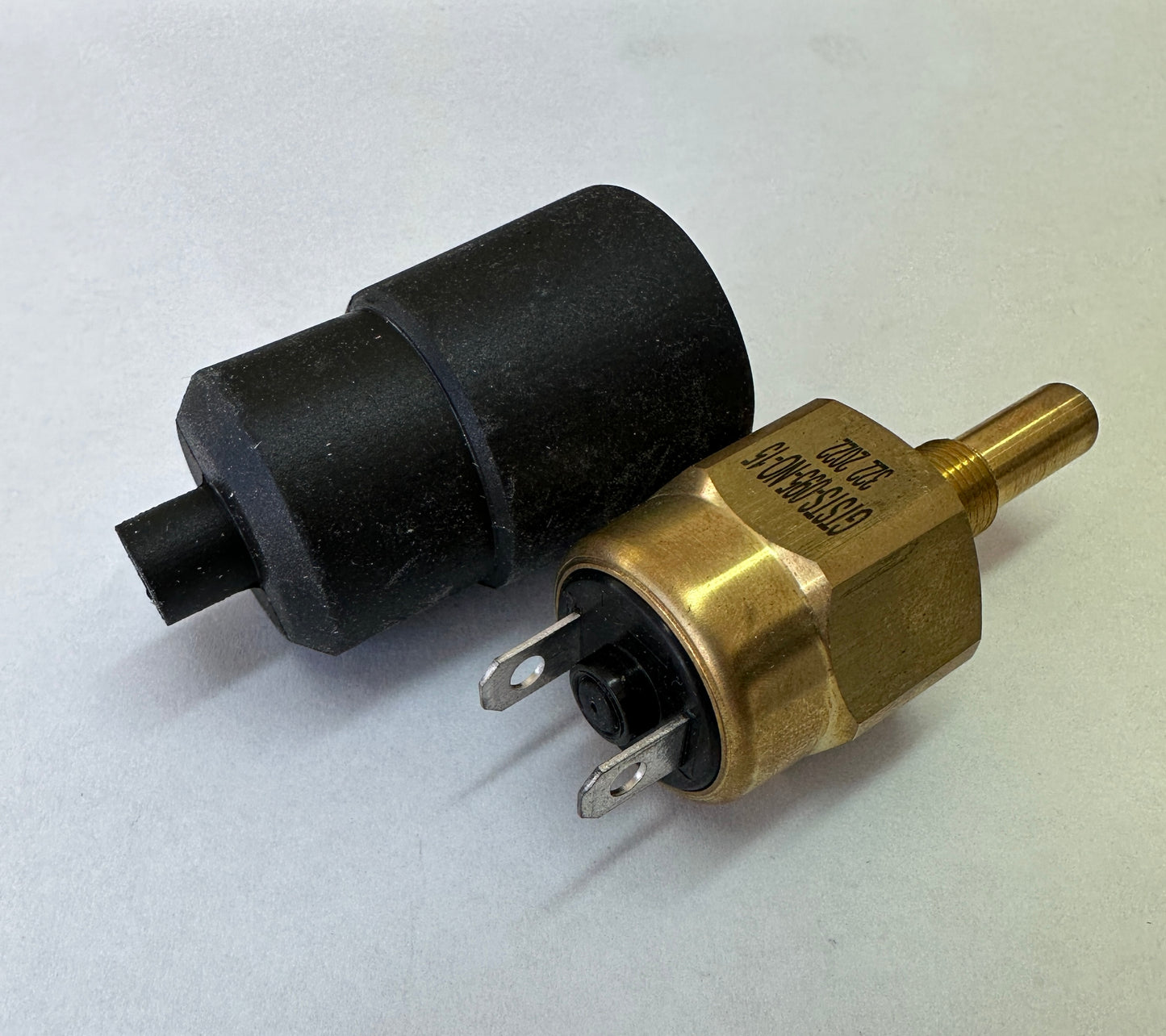 Temperature Switch 95C 2T 1/8" NPT  [NASON] [TSP95]